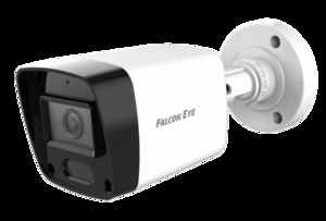 FE-IB2-30 ,  IP  2    /. 1/2,9 CMOS . 19201080, 25/30 /. Smart IR, DNR, DWDR .264+/H.265+ SMART .  f = 3,6 ,     30 .  