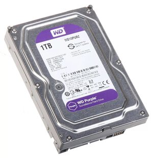   1 SATAIII WD Purple WD10PURZ