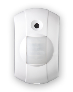 -531  .     , , ,   , ,   6, .  ,  ,  