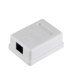   8P8C (RJ-45), UTP, Cat.5e, 1 